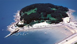 월전죽도 이미지