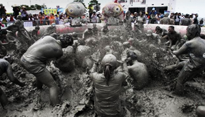 보령 머드 축제 이미지