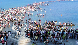 신비의 바닷길 축제 이미지