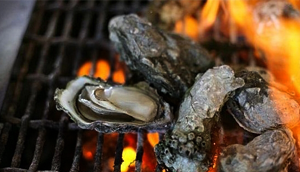 천북 굴 축제 이미지